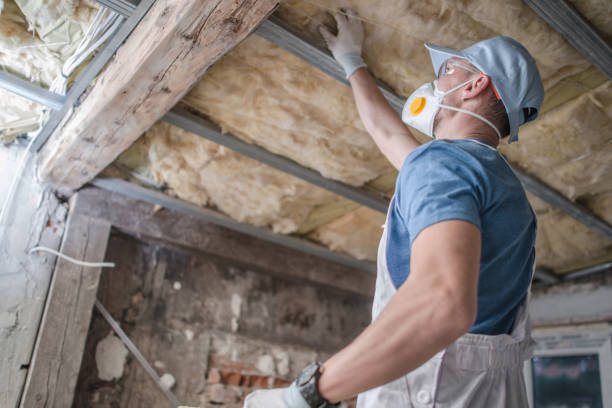 Trusted Edgefield, SC Insulation Contractor Experts