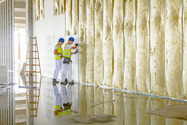 Types of Insulation We Offer in Edgefield, SC